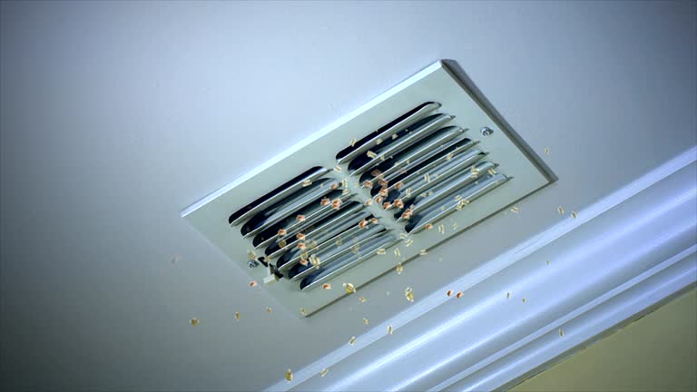Best HVAC Air Duct Cleaning  in Bostonia, CA