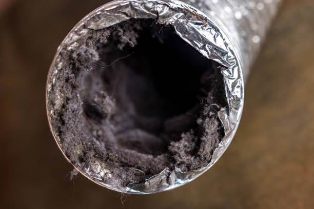 Best General Air Duct Cleaning  in Bostonia, CA